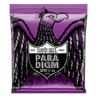 ERNIE BALL P02020