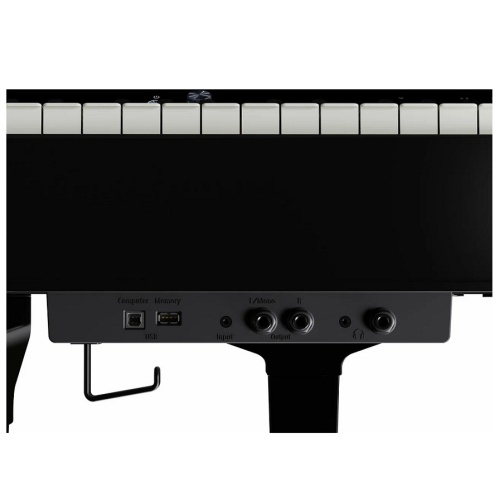 Roland GP 9M PE фото 9